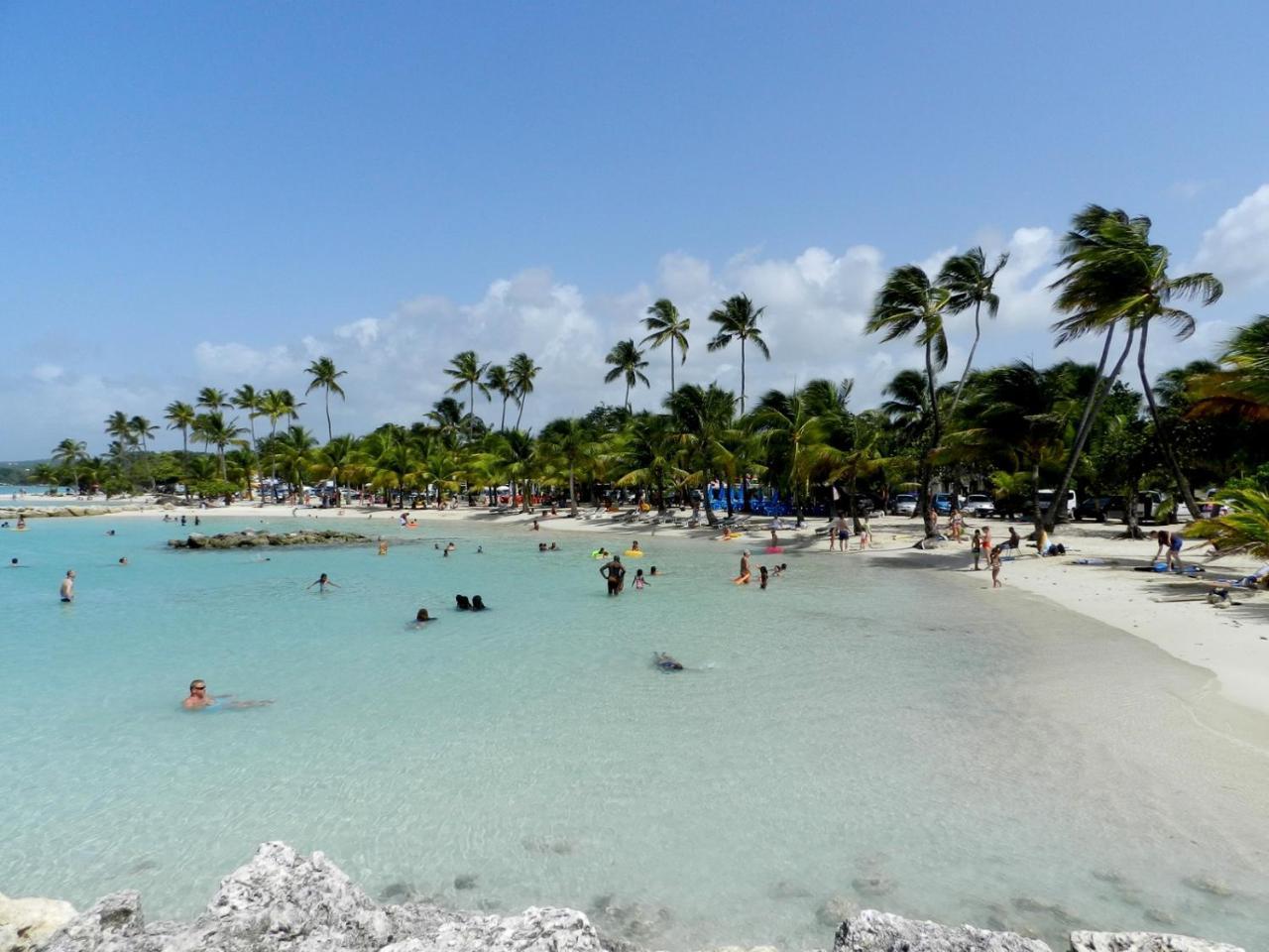 Locastudio - Carambole Sainte-Anne  Luaran gambar