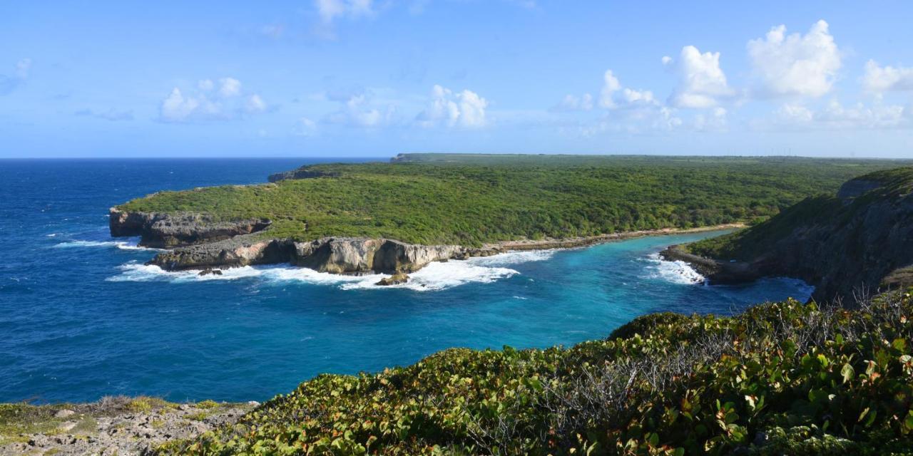 Locastudio - Carambole Sainte-Anne  Luaran gambar